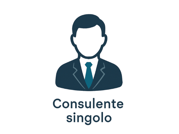 Icona stilizzata di un consulente del lavoro singolo